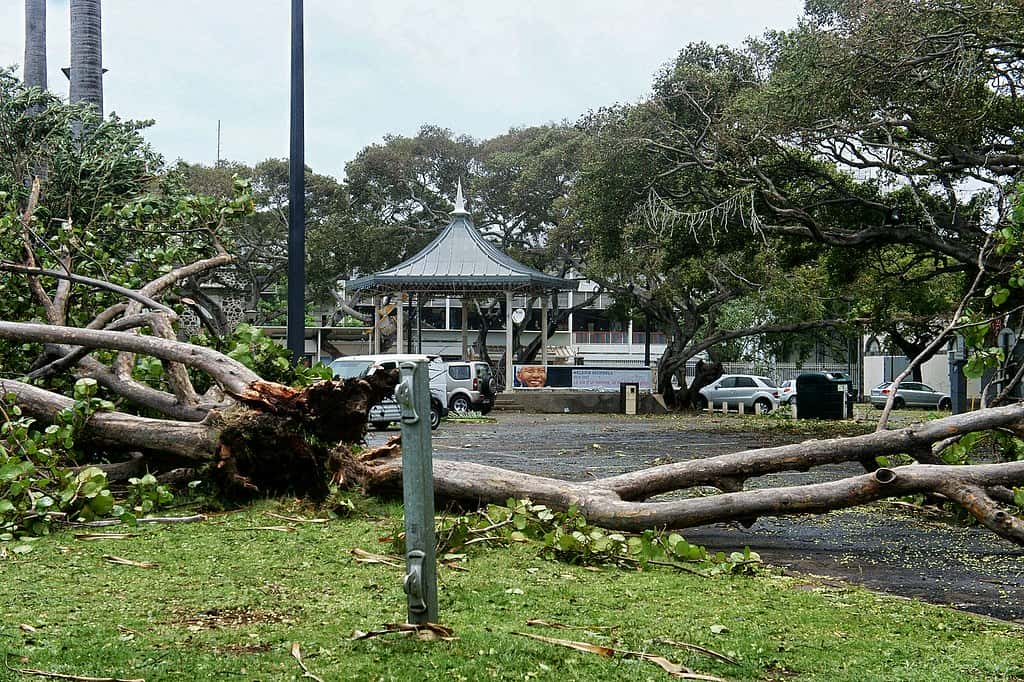 île de la réunion cyclone belal